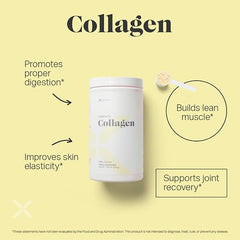Xyngular Complete Collagen powder scoop ready to blend into smoothies for hydration.