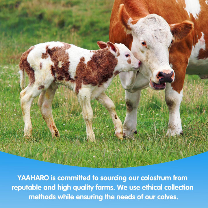 Unflavored packaging of YAAHARO Colostrum powder for versatile use