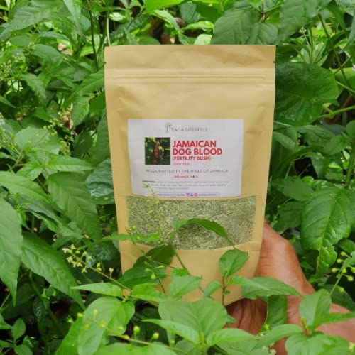 Yaga Lifestyle Dog Blood Bush packaged product image for convenient herbal use