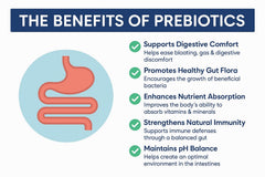 YAHZU Probiotic survival technology bottle highlights stomach acid protection for better absorption.