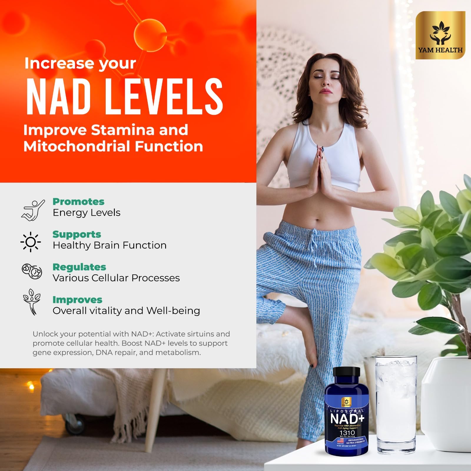 YAM Health Trans-Resveratrol synergy visual suggests antioxidant support and healthy aging