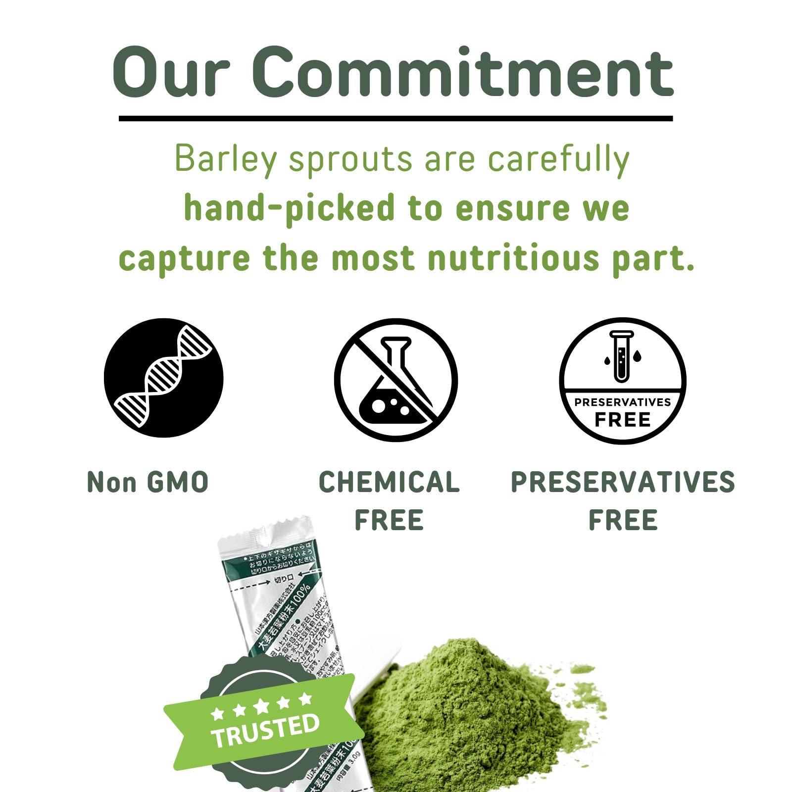 Yamamoto Kanpoh Yamakan Young Barley Grass Powder front label detail.