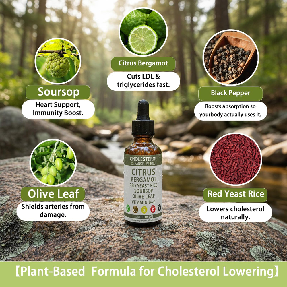 YAMFIUY RESONA ingredients graphic – plant-based components overview