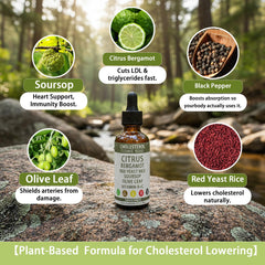 YAMFIUY RESONA ingredients graphic – plant-based components overview