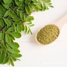 Moringa powder pack on kitchen counter ready to mix.