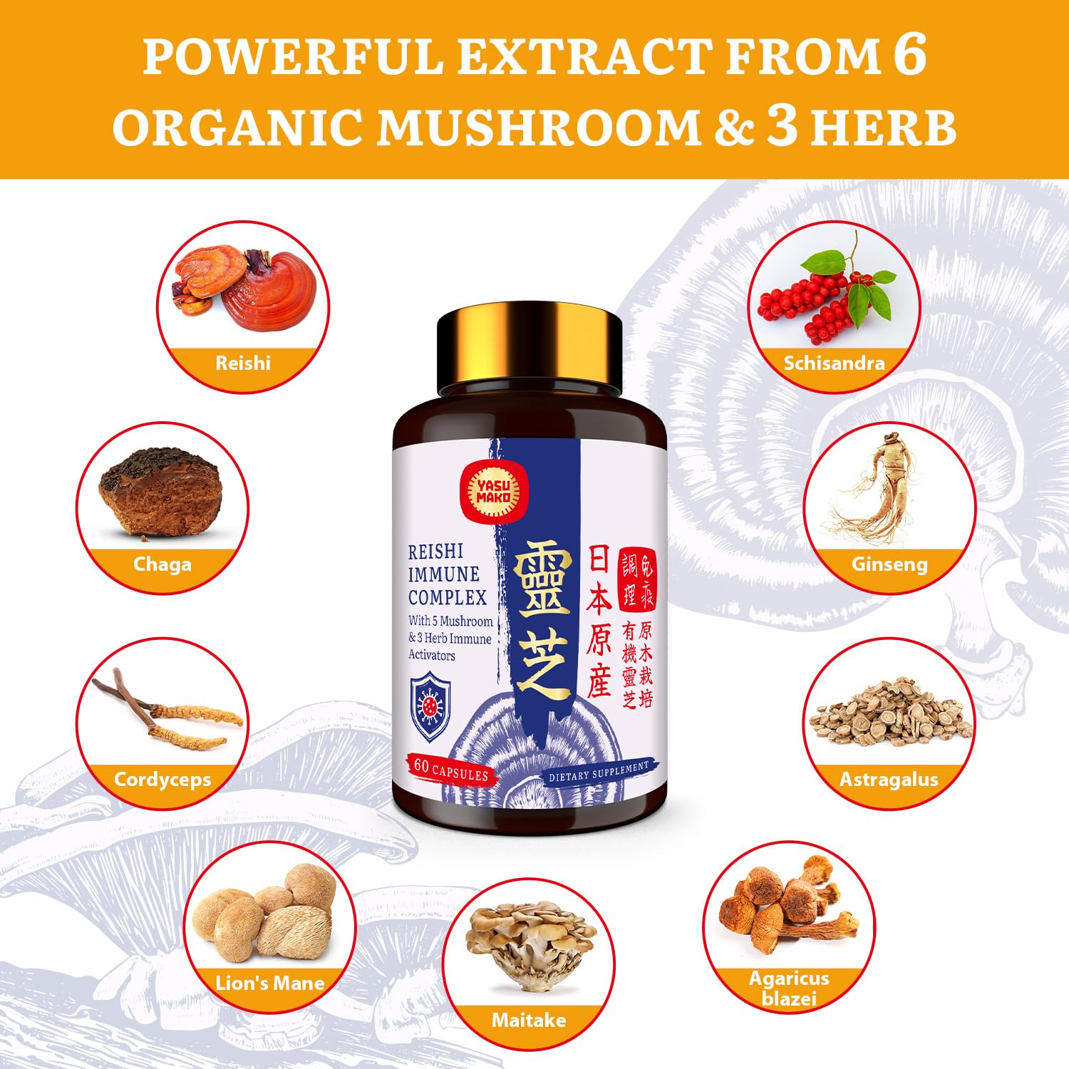 Yasumako chaga-cordyceps blend jar highlighting energy‑support formula