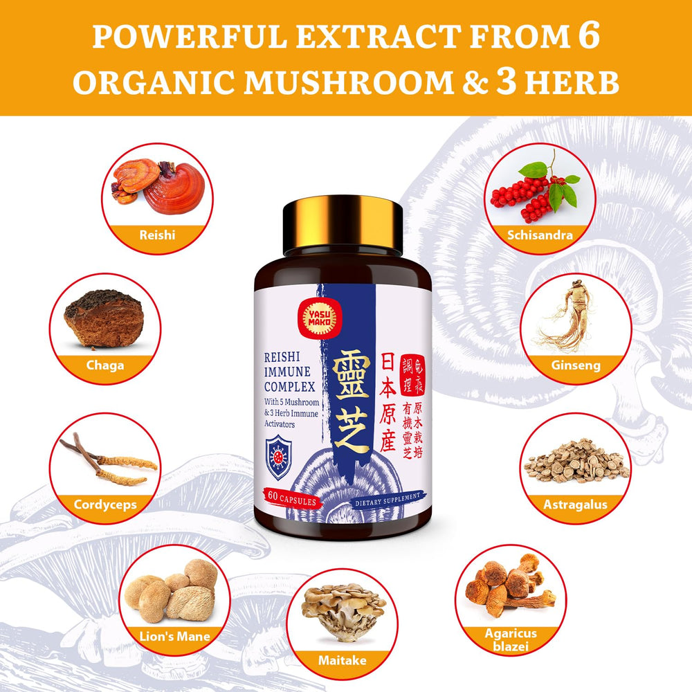 Yasumako chaga-cordyceps blend jar highlighting energy‑support formula