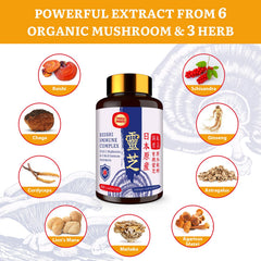 Yasumako chaga-cordyceps blend jar highlighting energy‑support formula