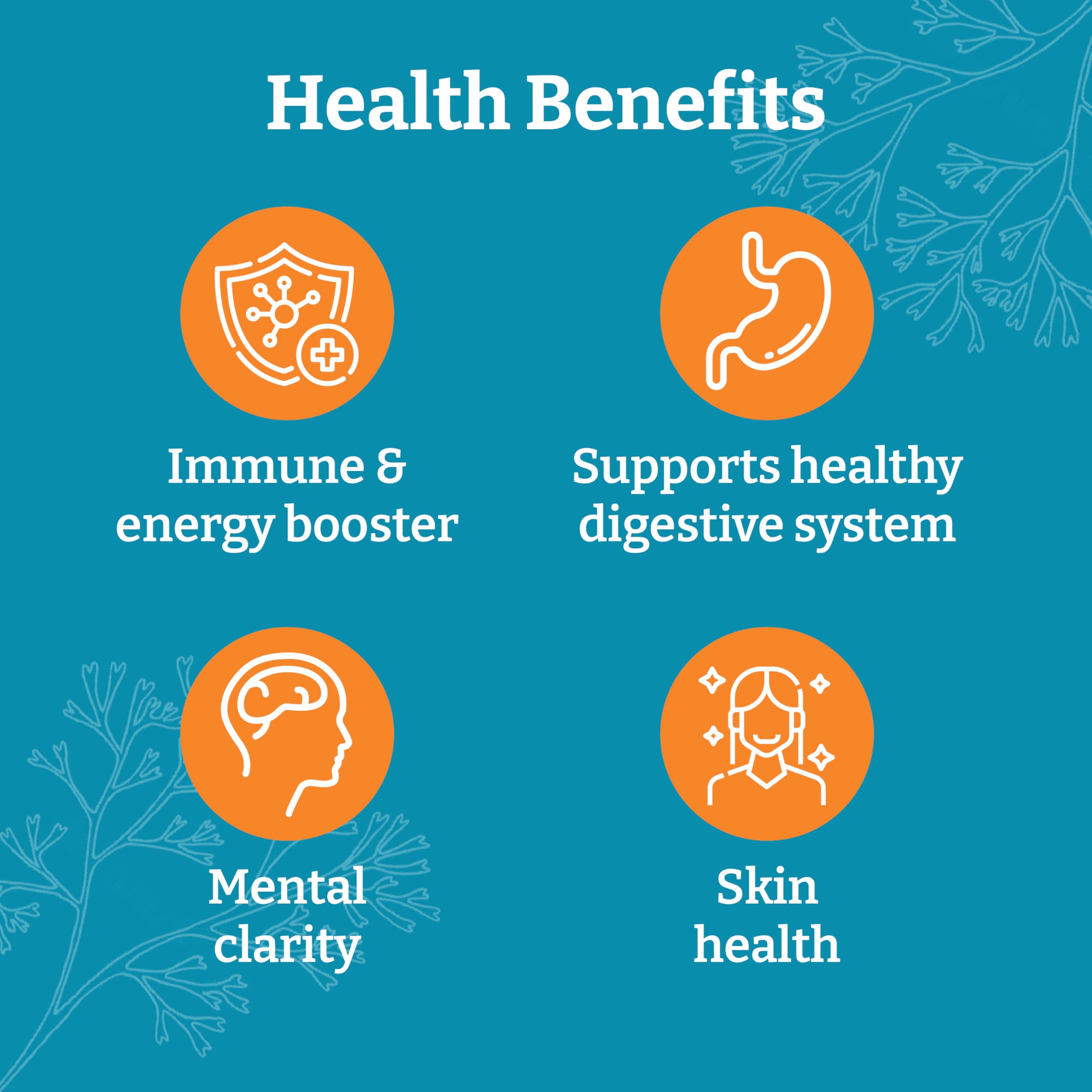 Yemaya Natural Way capsules fit anyone seeking daily wellness.