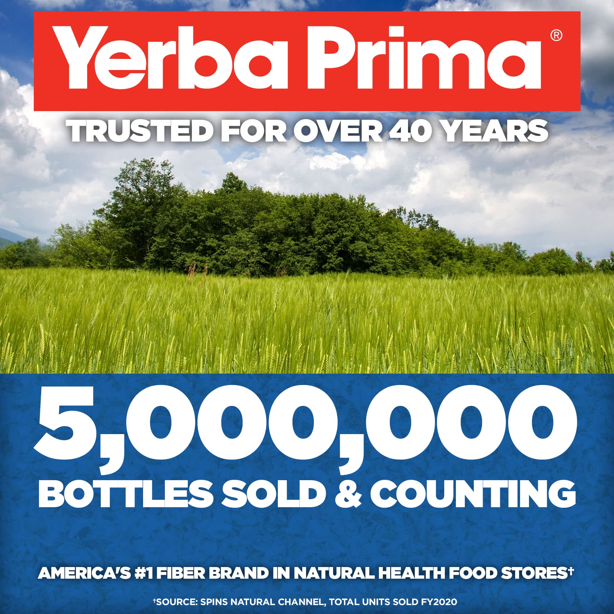 Yerba Prima Psyllium Husk Powder bottles on kitchen counter ready for daily use.
