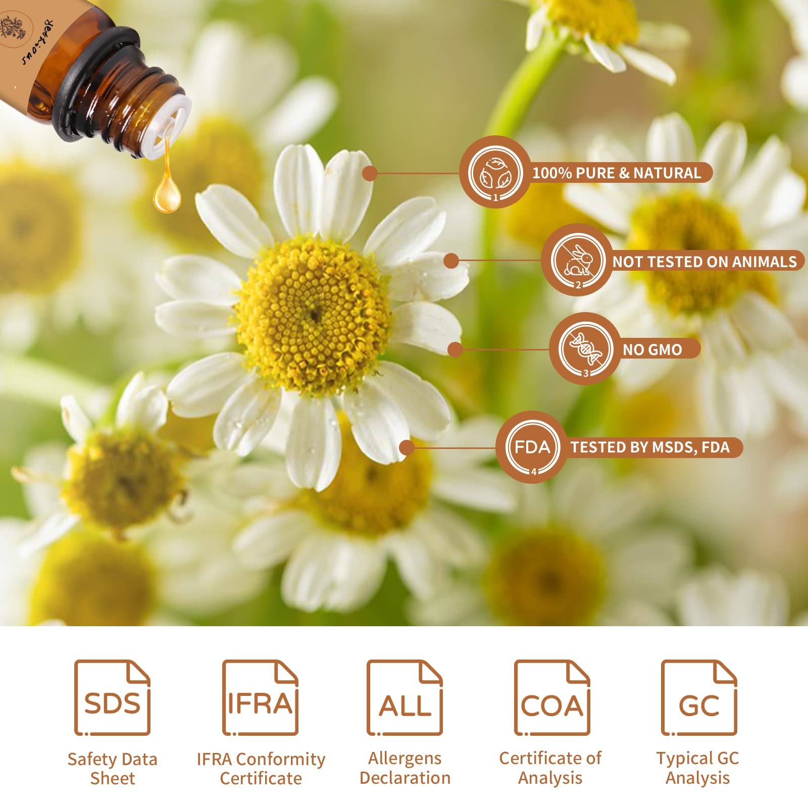 Yethious Chamomile oil suitable for hair care and scalp refresh.