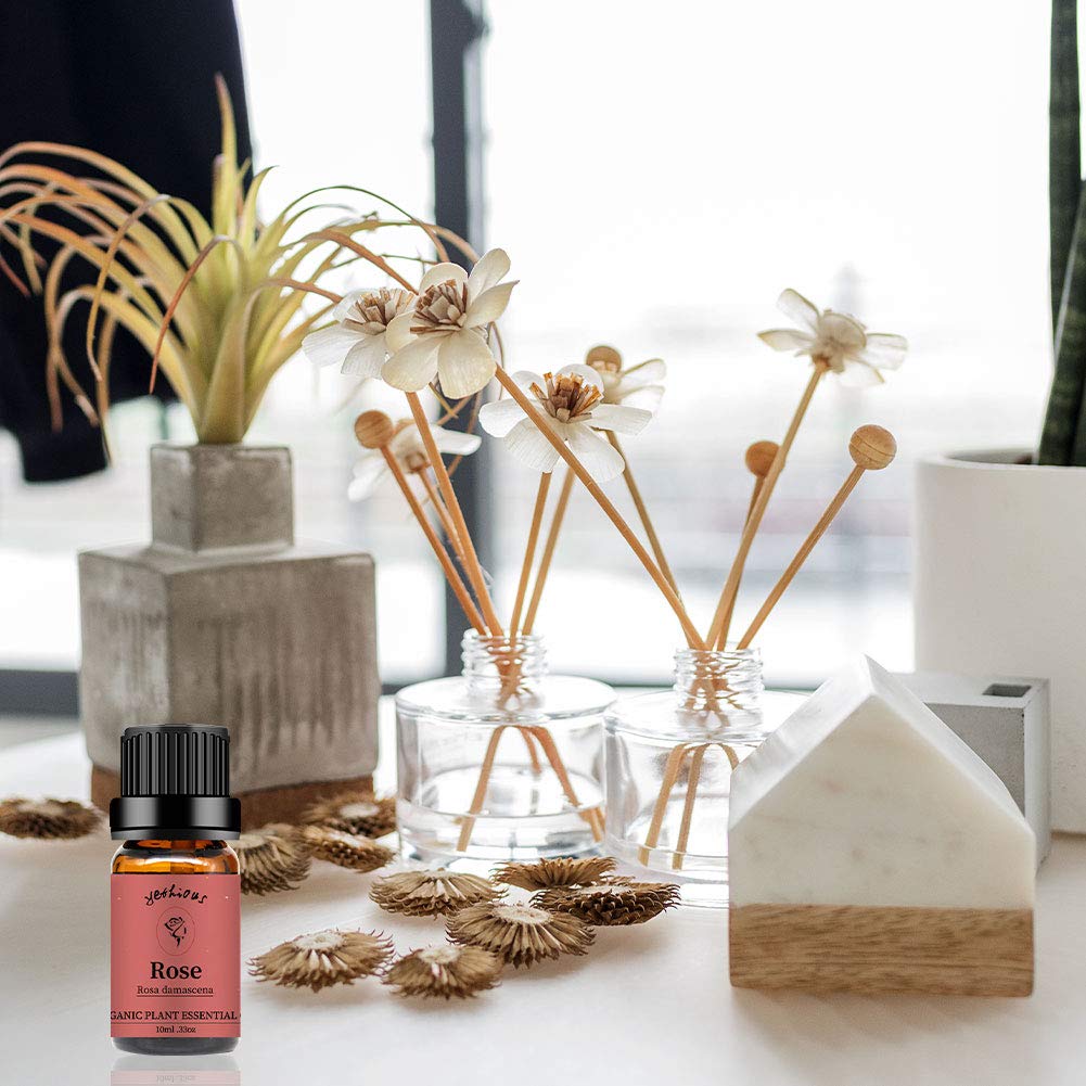 Yethious Essential Oil collection display presents a curated gift option.