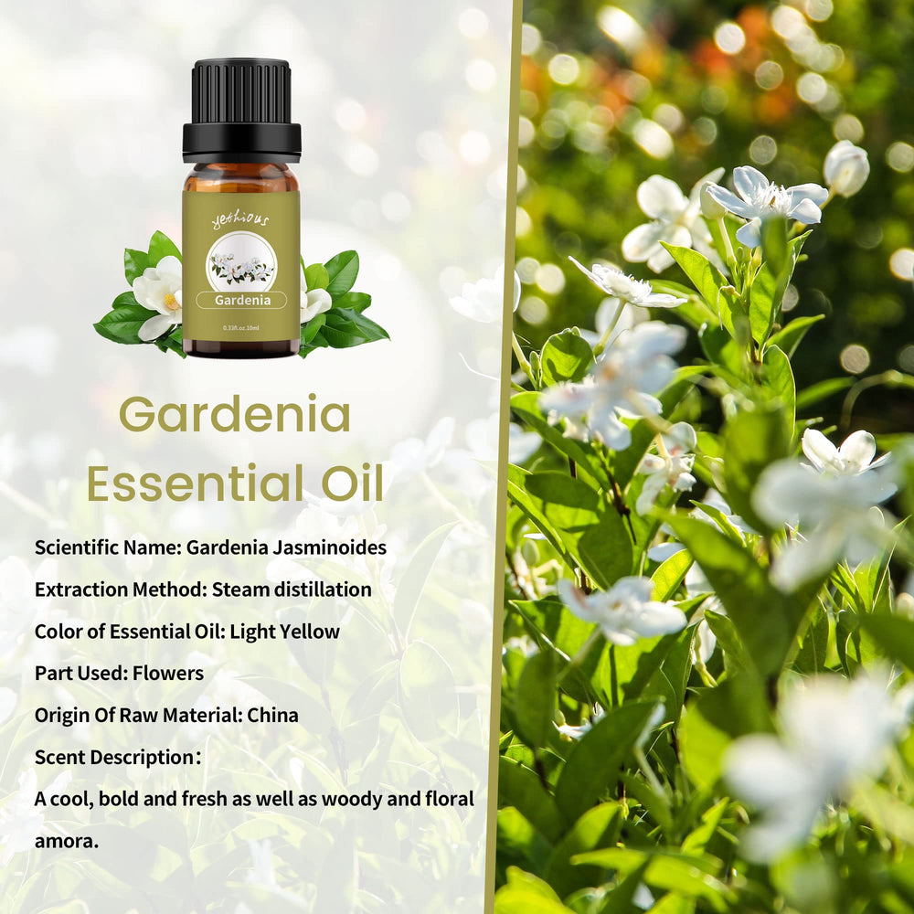 Yethious Gardenia essential oil label close-up showing purity and quality.