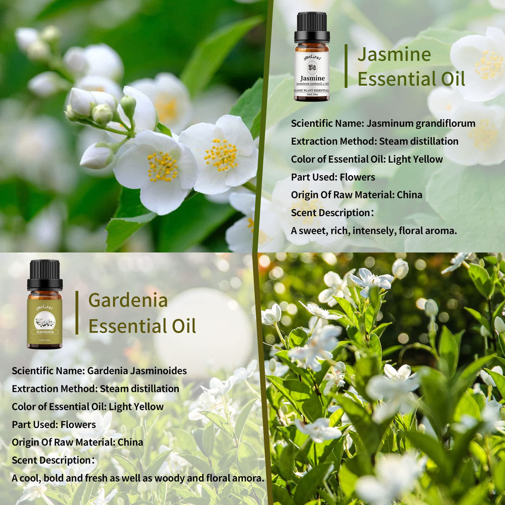 Yethious Gardenia oil bottle 10ml for home fragrance and diffuser use