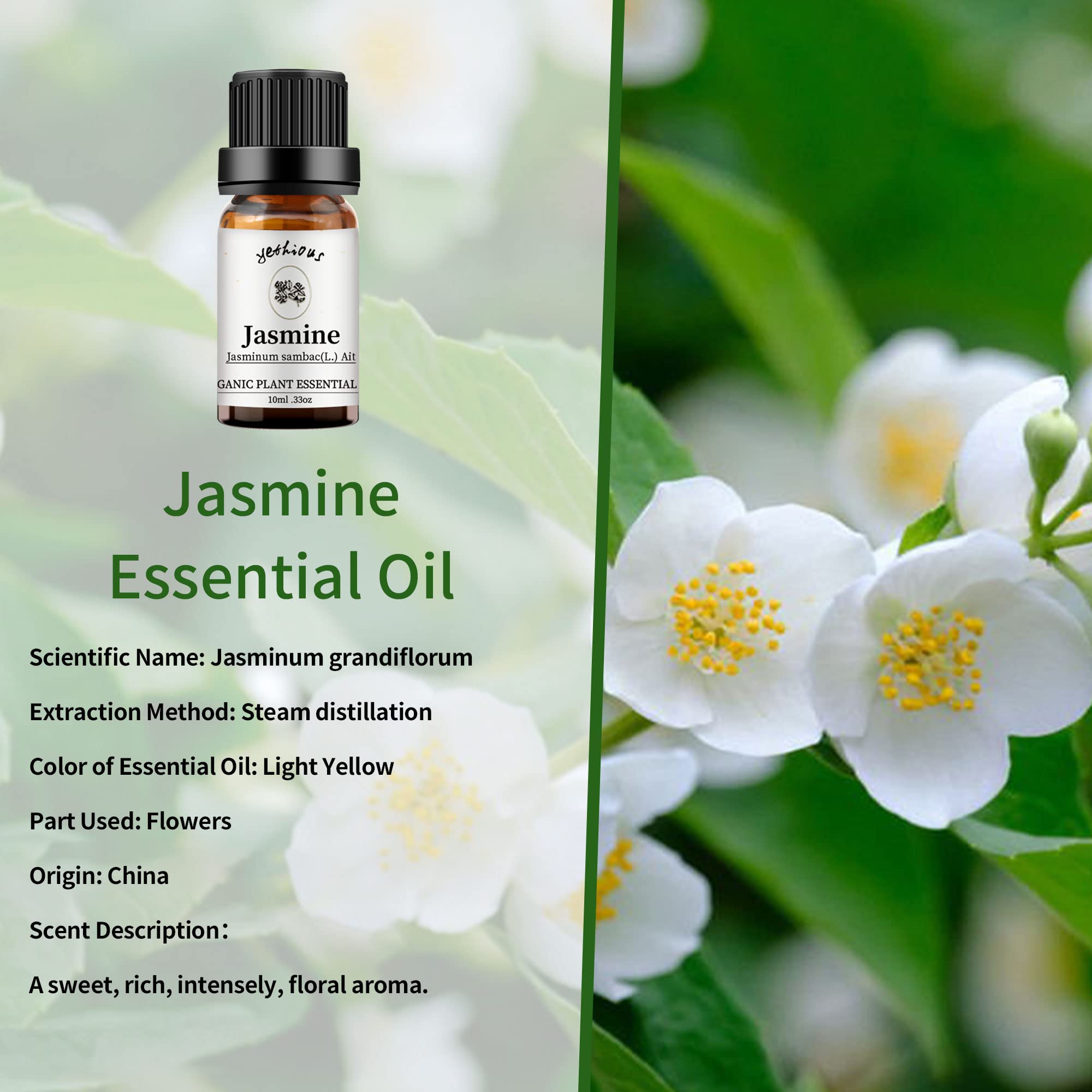 Yethious Jasmine Oil for Hair Care nourishes and adds subtle shine.