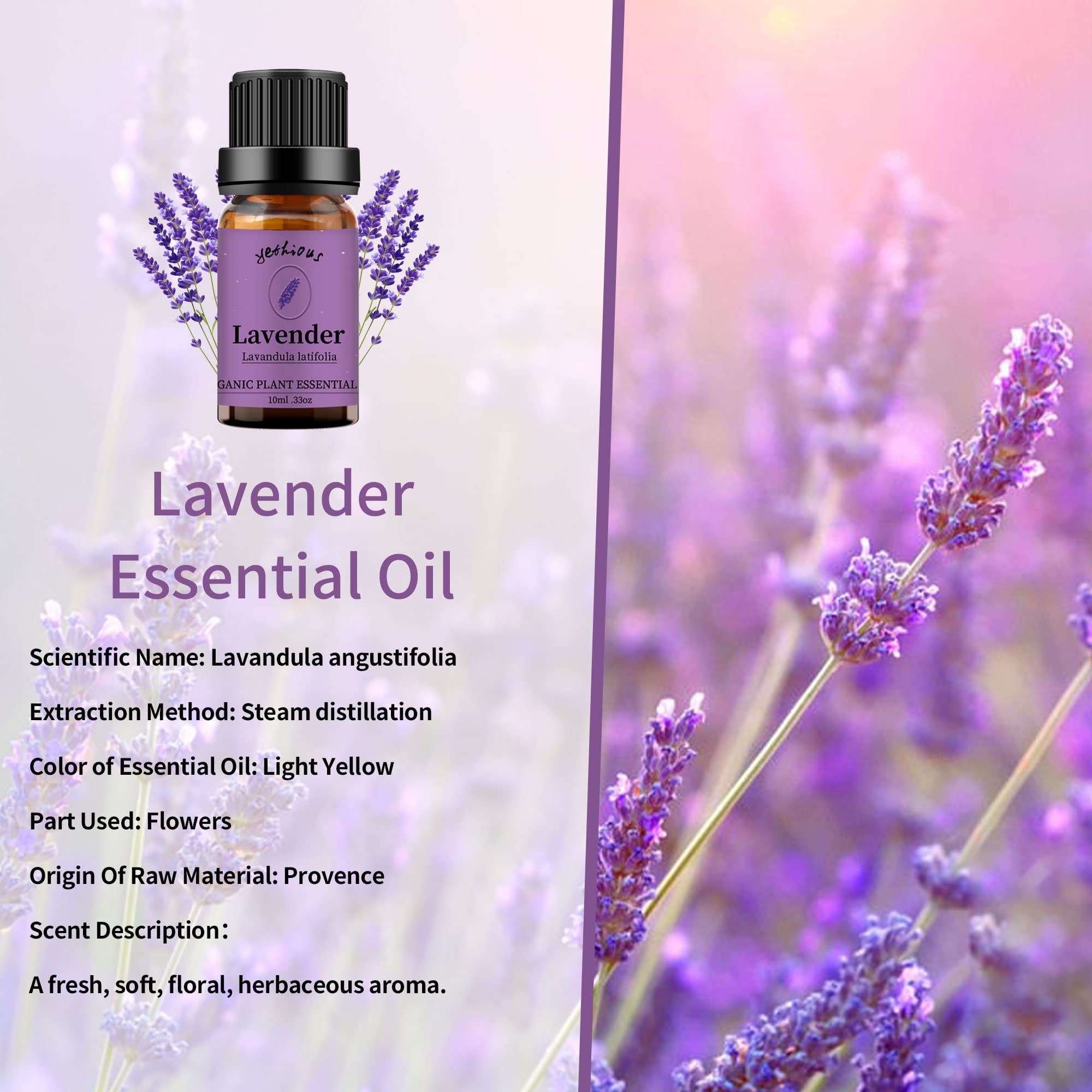Yethious Lavender Oil bottle with dropper for precise application.