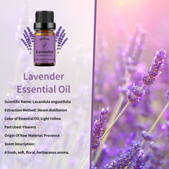 Yethious Lavender Oil bottle with dropper for precise application.