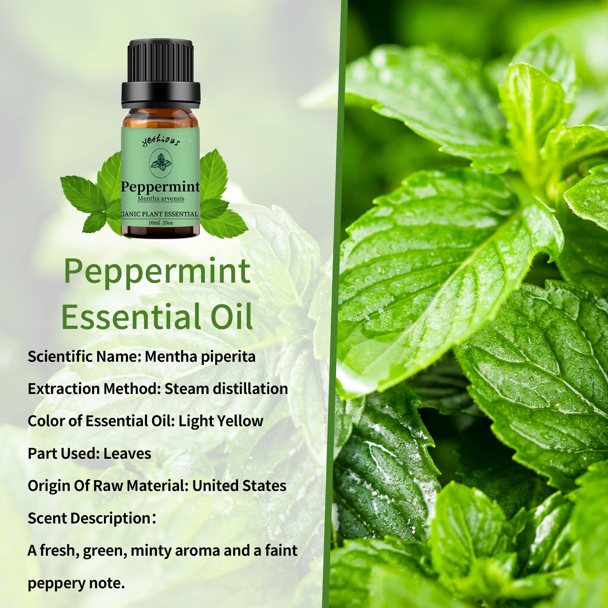 Yethious peppermint oil in diffuser delivers a refreshing aroma