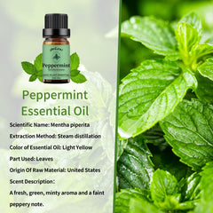 Yethious peppermint oil in diffuser delivers a refreshing aroma