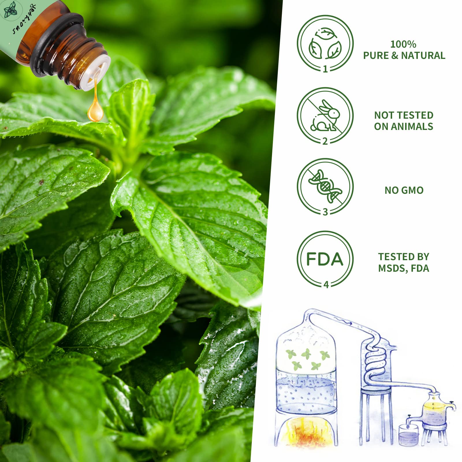 Yethious peppermint oil being diluted with carrier oil for safe skin use