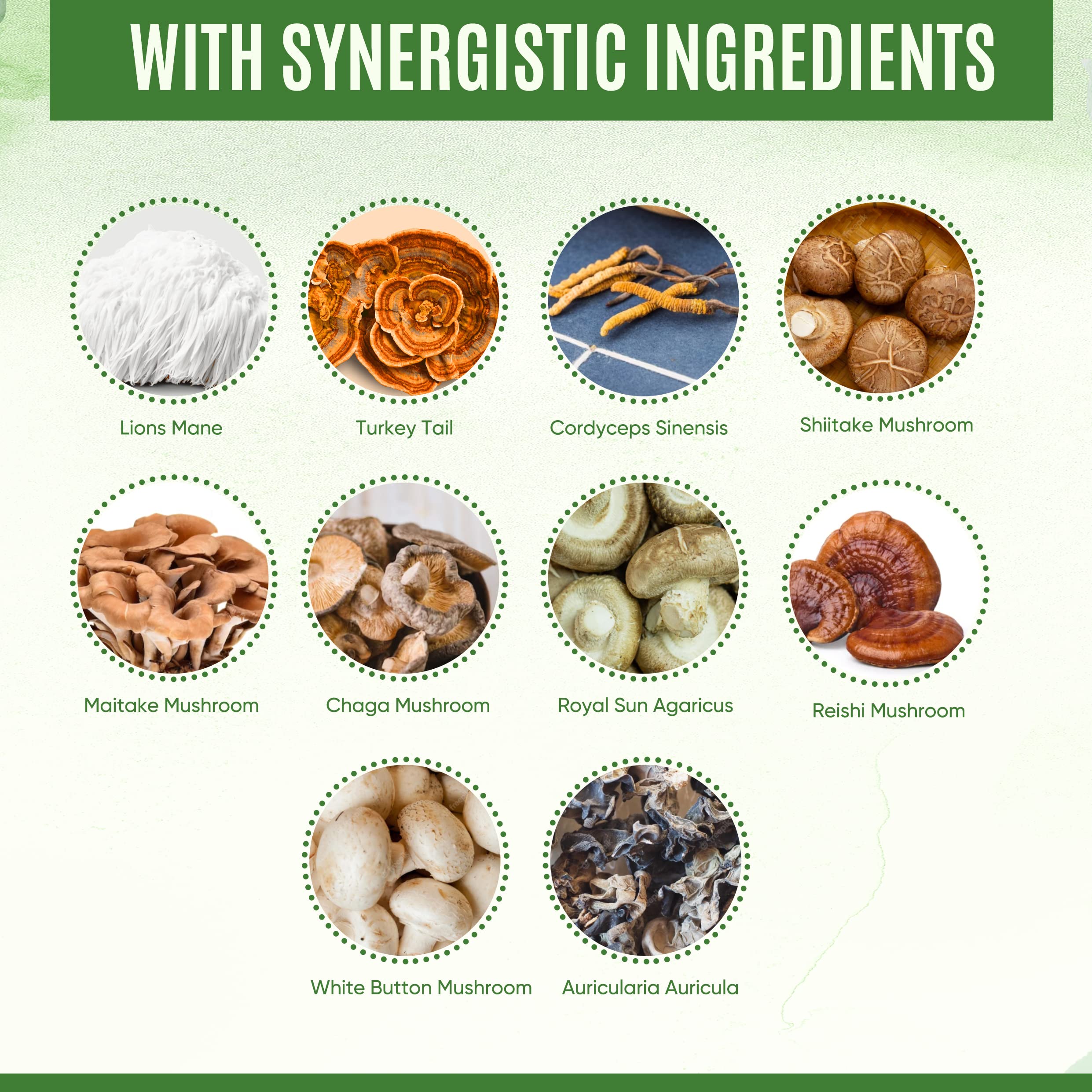 YEVANI product shelf display signaling premium, vegan-friendly mushroom blend.