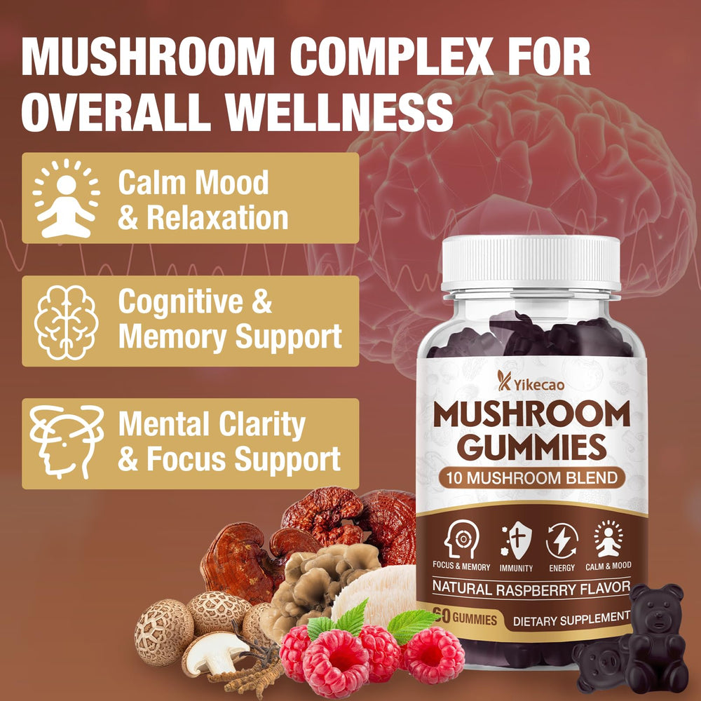 Yikecao Lions Mane and Cordyceps Reishi detail emphasizing brain focus