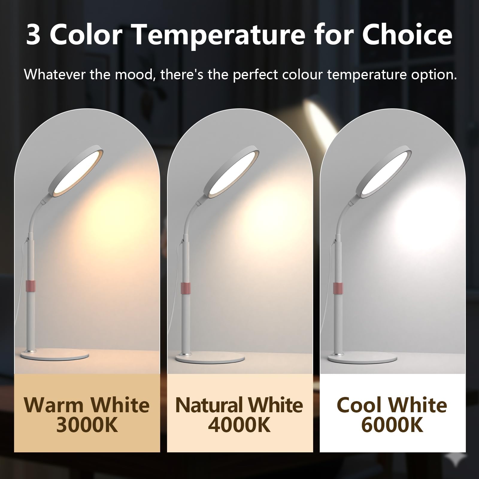 YKoliron gooseneck bend enables precise light direction.