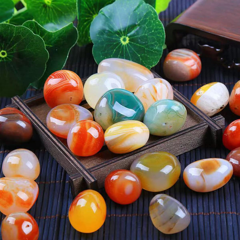 YLOIJO landscape bottom decor adds texture and color outdoors.
