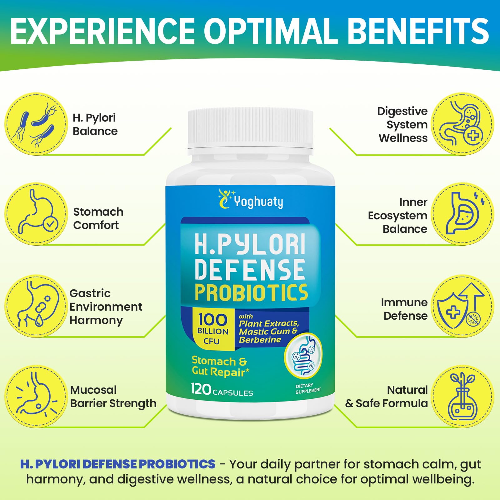 Yoghuaty H. Pylori Defense ingredient panel displays mastic gum, zinc, and green tea.