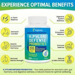 Yoghuaty H. Pylori Defense ingredient panel displays mastic gum, zinc, and green tea.