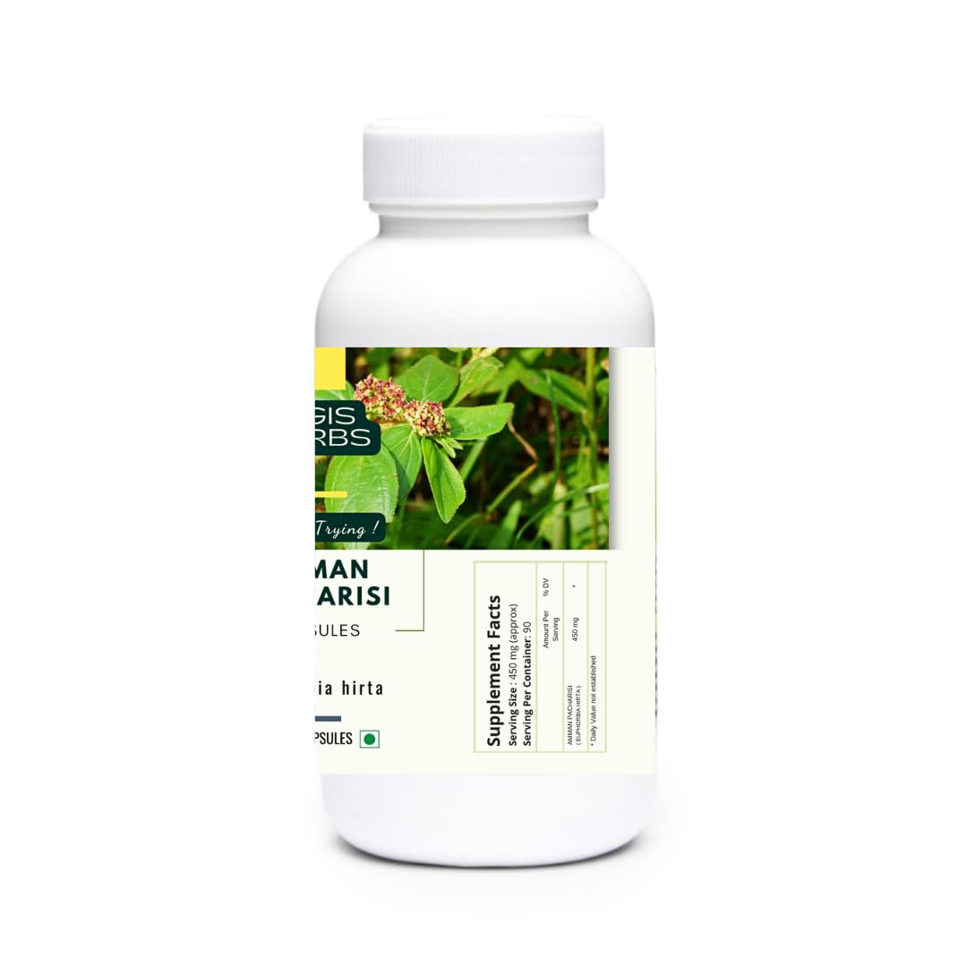 YOGIS HERBS Amman Pacharisi capsule closeup highlighting pure Euphorbia hirta content.