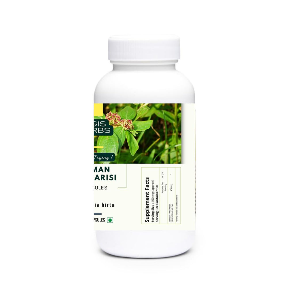 YOGIS HERBS Amman Pacharisi capsule closeup highlighting pure Euphorbia hirta content.