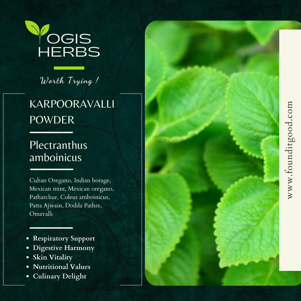 YOGIS HERBS Karpooravalli powder dish showcasing culinary uses and nutritional support.