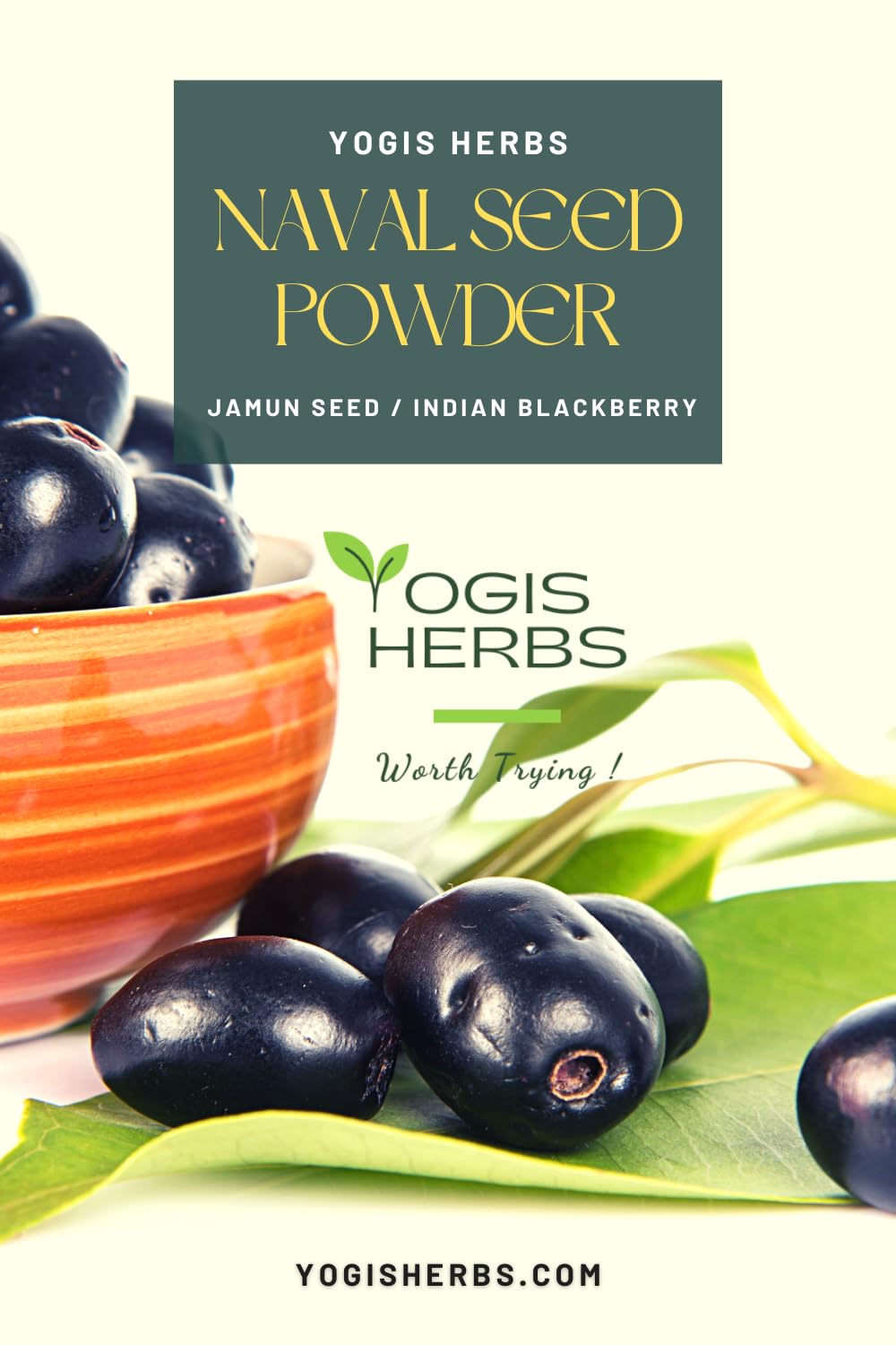 YOGIS HERBS Naval Seed Powder being scooped for daily use