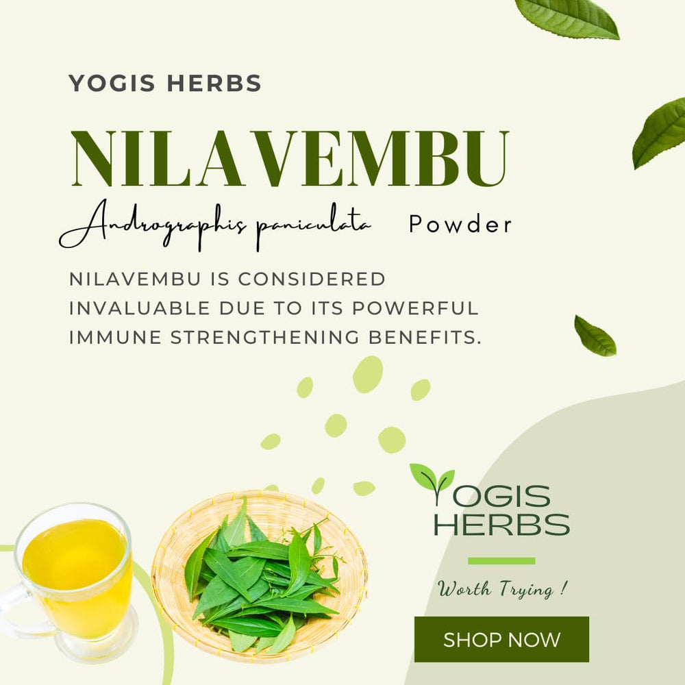 YOGIS HERBS Nilavembu powder dried leaves image highlights traditional herb material for routines.