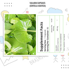 Packaging image showing 90 vegan capsules for daily wellness.