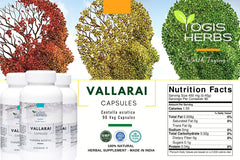 Pouring Vallarai capsules to illustrate easy daily intake and focus support.