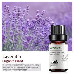 YoooJOY Lavender Essential Oil dropper highlights precise, controlled aromatherapy use.