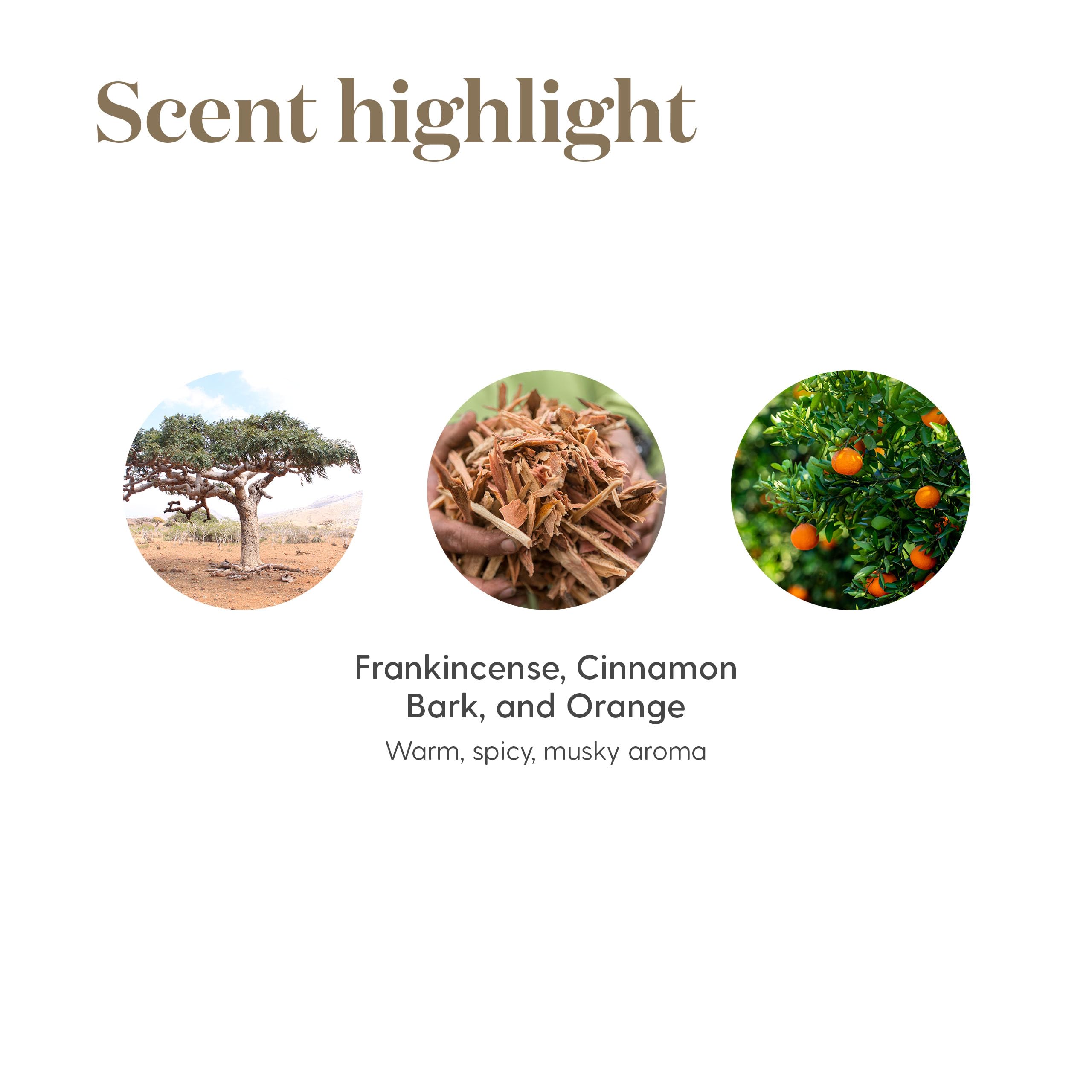 Young Living Abundance carrier-diluted blend: smooth application for aromatic skincare