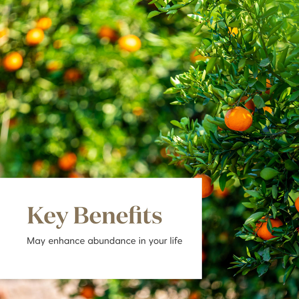 Young Living Abundance oil drops: ready for dilution with a carrier oil