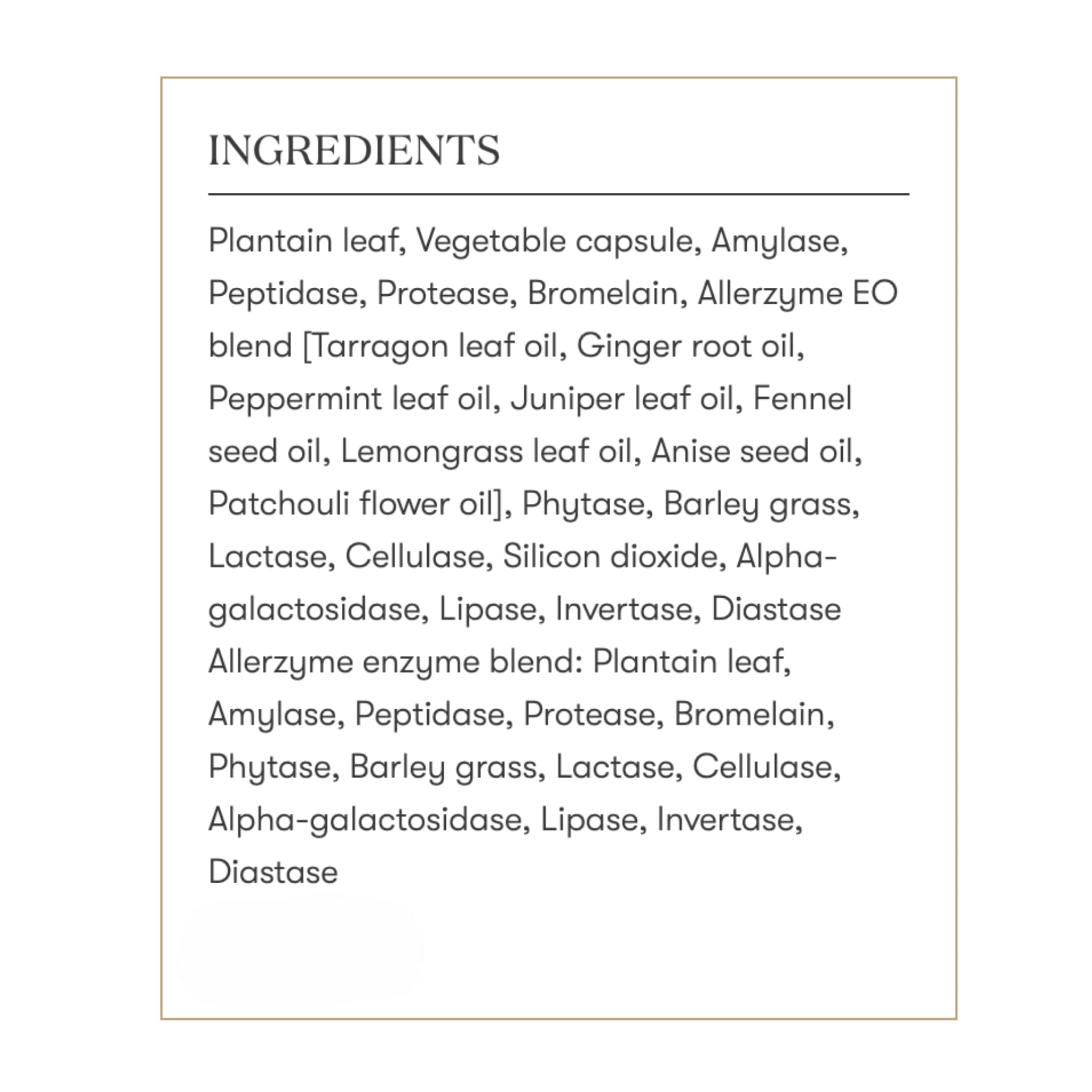 Premium essential oil blend branding image highlights Allerzyme benefits.
