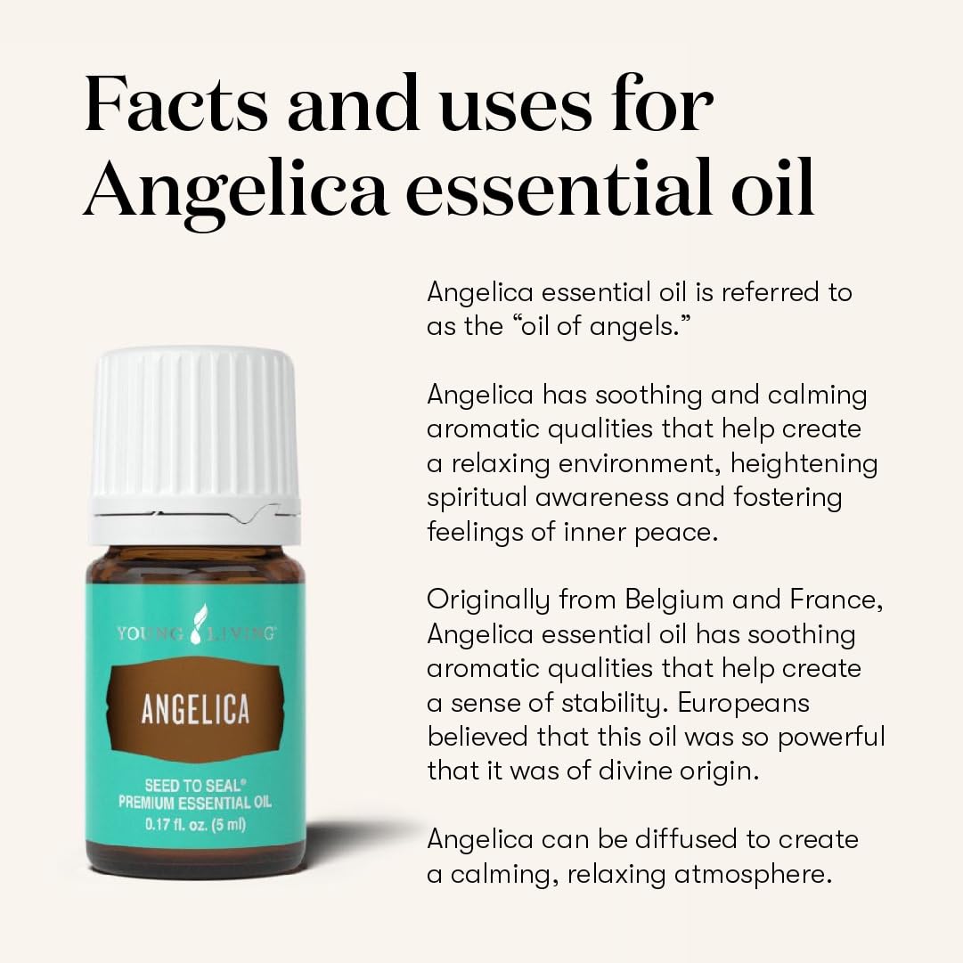 Young Living Angelica relaxing massage oil supports calm muscles and mindful evenings.