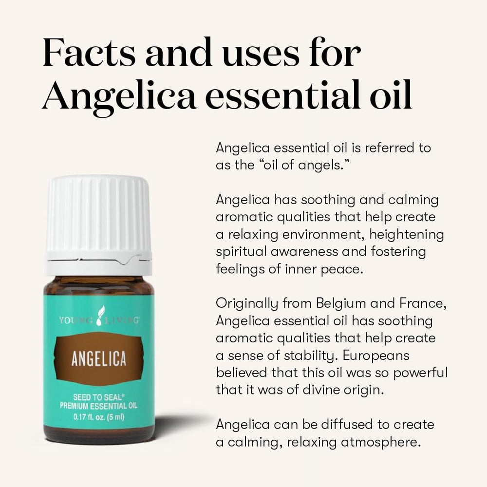 Young Living Angelica relaxing massage oil supports calm muscles and mindful evenings.