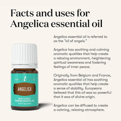 Young Living Angelica relaxing massage oil supports calm muscles and mindful evenings.