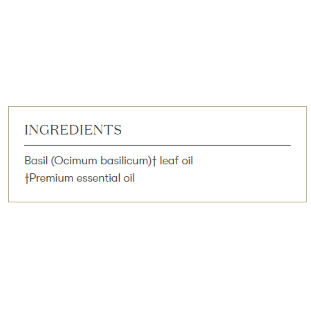Young Living Basil Essential Oil diffuser aroma promoting mood balance.