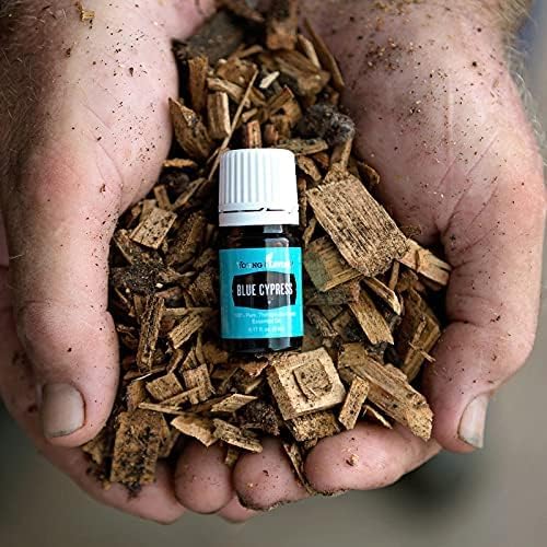 Young Living Blue Cypress bottle with facial cleanser for daily skincare