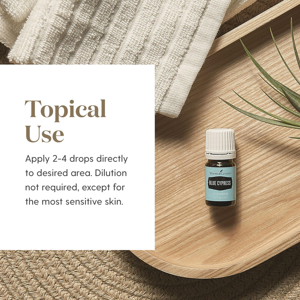 Young Living Blue Cypress bottle in massage context for gentle relief