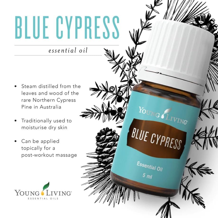 Blue Cypress distillation scene by Young Living highlighting premium quality and balance