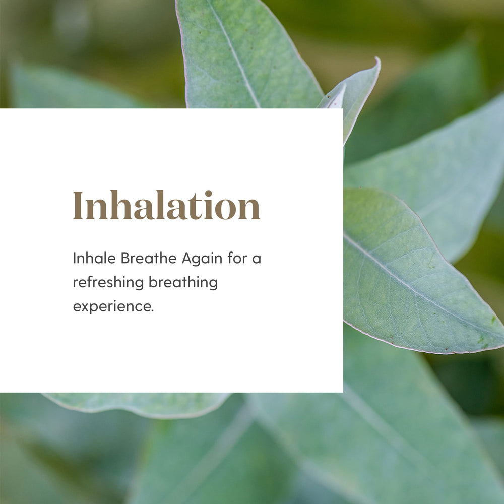 Young Living Breathe Again packaging box highlighting branding and blend