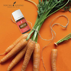 Carrot Seed Essential Oil diffuser aroma creating a calming space